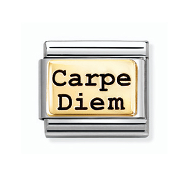Nomination Composable Classic Carpe Diem pala kulta 030166/73