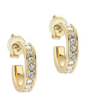 Ted Baker Seenita kullanväriset korvarenkaat 06-TBJ2767-02-02