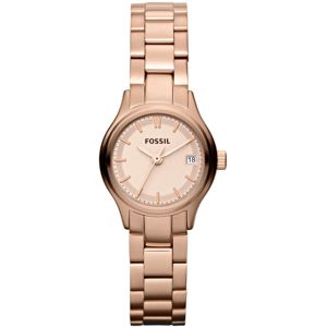Fossil ES3167 main product photo
