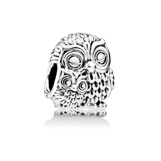 Pandora Charming owls 791966