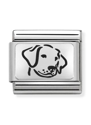Nomination SilverShine Dog 330109-06