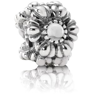 Pandora syntymäkivi hela, huhtikuu 790580BK main product photo