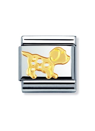 Nomination pala, koira 030112-23