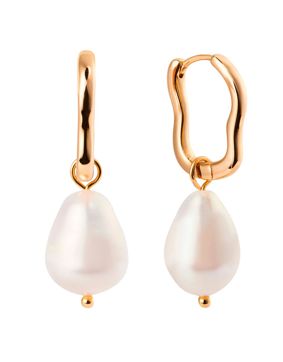 Sparv Go To Hoops kullatut korvakorut 12200101