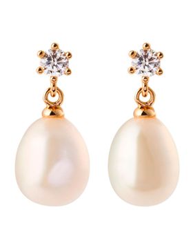 Sparv Daily kullatut korvakorut 12300101