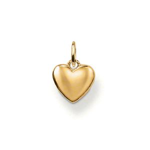 Thomas Sabo sydän riipus PE558-413-12 main product photo