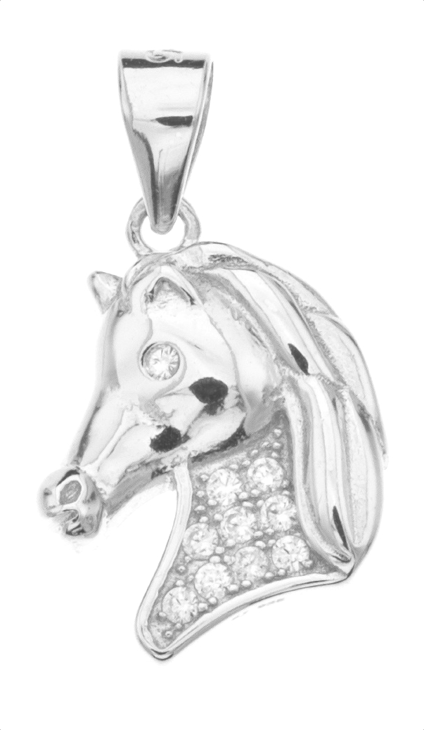 Silver Bar Hepanpää cz riipus 8389