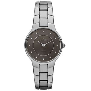 Skagen Titanium SKW2008 main product photo