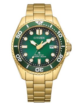 Citizen Eco-Drive Pro Marine BN0262-59W