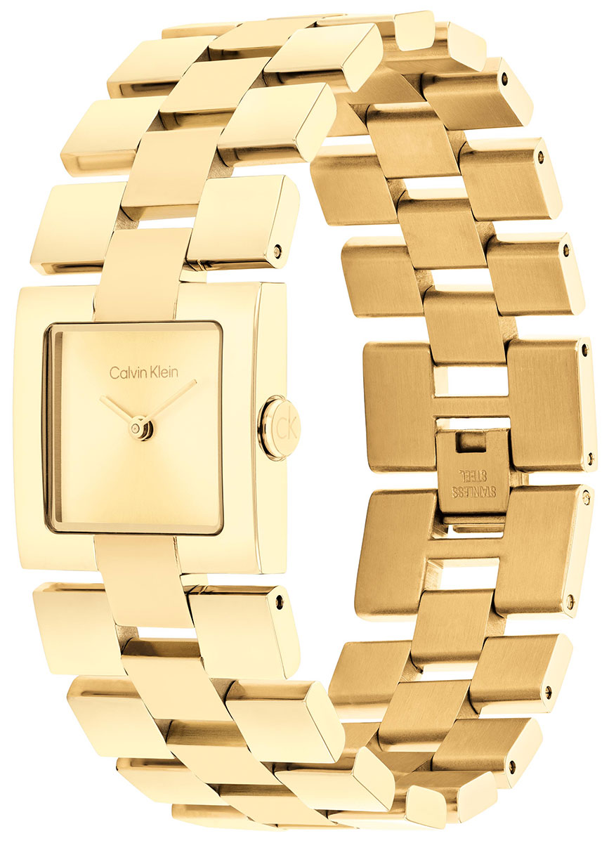 Calvin Klein Meridian 25100089