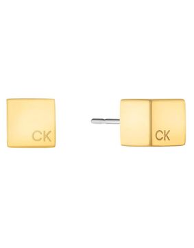 Calvin Klein Meridian korvakorut 35000246