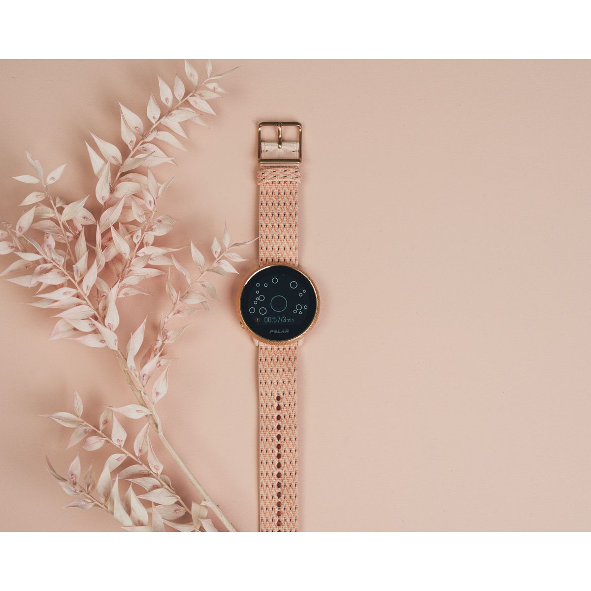 casio prg 120t