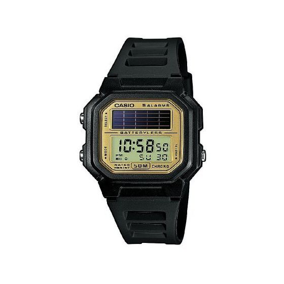 casio 190w