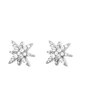 Edblad Polaris Studs S Steel tähtikorvakorut 126114