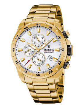 Festina Chrono Sport F20541/1