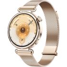 Huawei Watch GT 6 41mm Gold