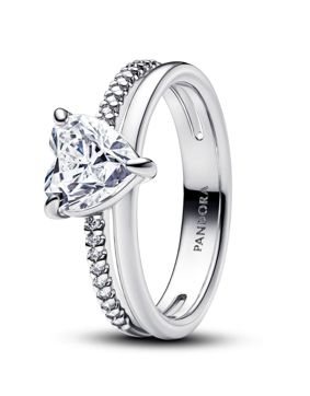 Pandora Timeless tuplasormus 193100C01