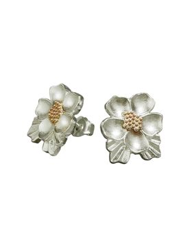 Kaamos Hillankukka nappikorvakorut 037