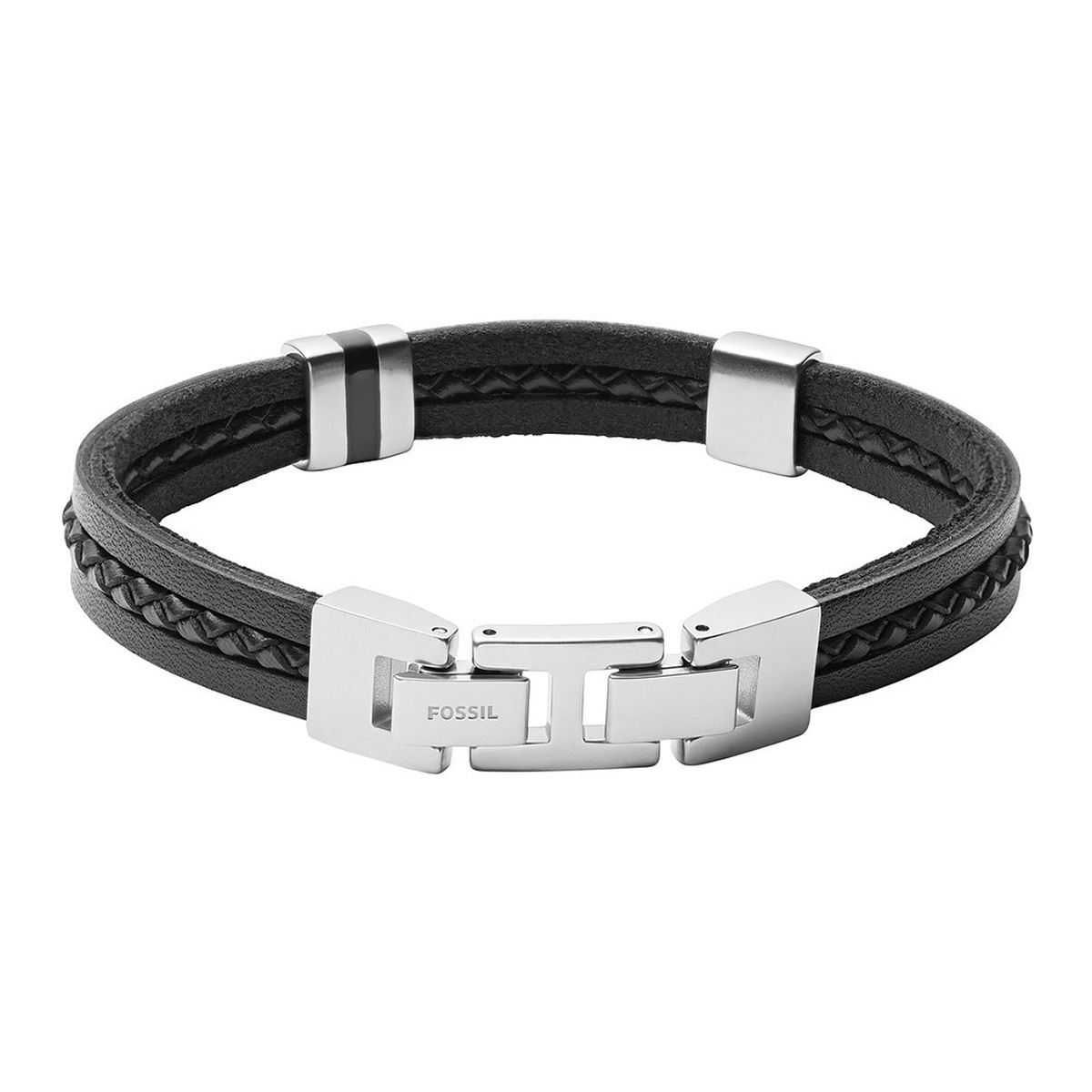 Fossil rannekoru JF03686040