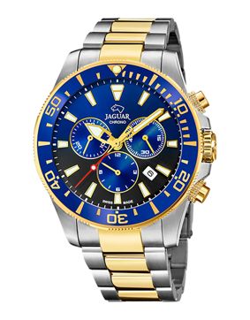 Jaguar Executive J862/4