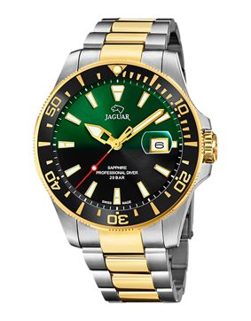 Jaguar Executive J863/4