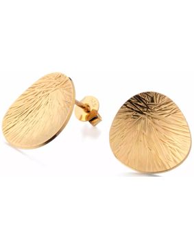 Lumoava Lily kullatut korvakorut L64257900000