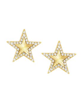 Nomination Truejoy Gold Star tähtikorvakorut 240104/009