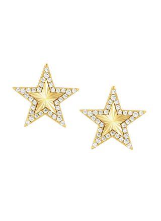 Nomination Truejoy Gold Star tähtikorvakorut 240104/009