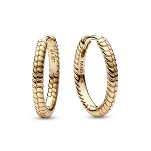 Pandora Moments kullatut korvarenkaat 262728C00 main product photo