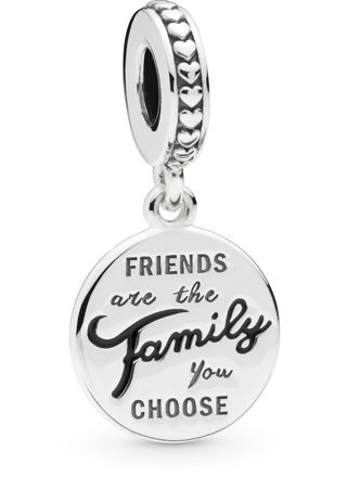 Pandora Friends Are Family hela 798124EN16