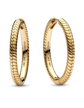 Pandora Moments Charm korvakorut 269532C00