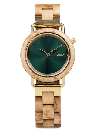 Aarni Saga Visakoivu