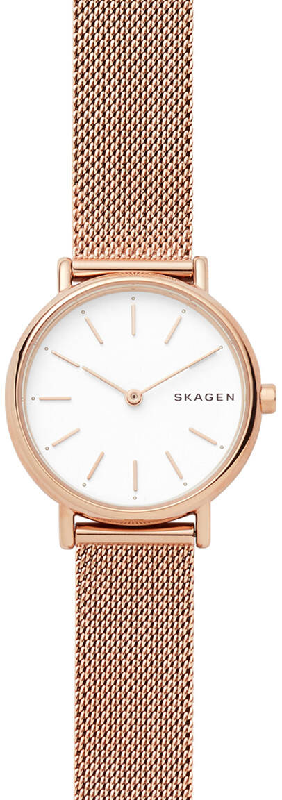 Skagen Signatur Slim SKW2694