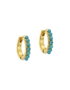 Ted Baker Persia korvarenkaat TBJ3983-02-32