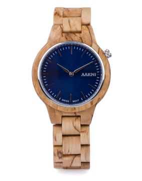 Aarni Vega Visakoivu