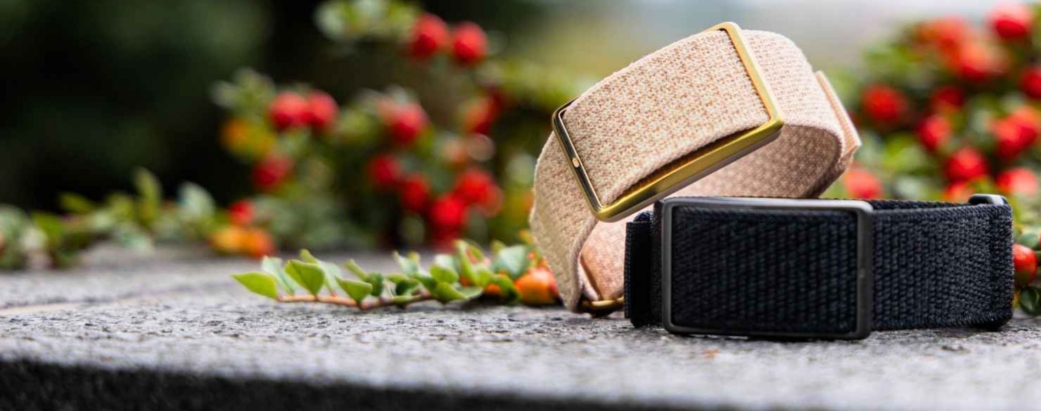 Kiven päällä kultainen sekä musta Polar Loop -aktiivisuusrannekkeet