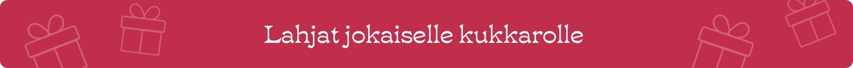 Budjetti desktop banner